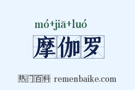 摩伽罗是什么意思的图片